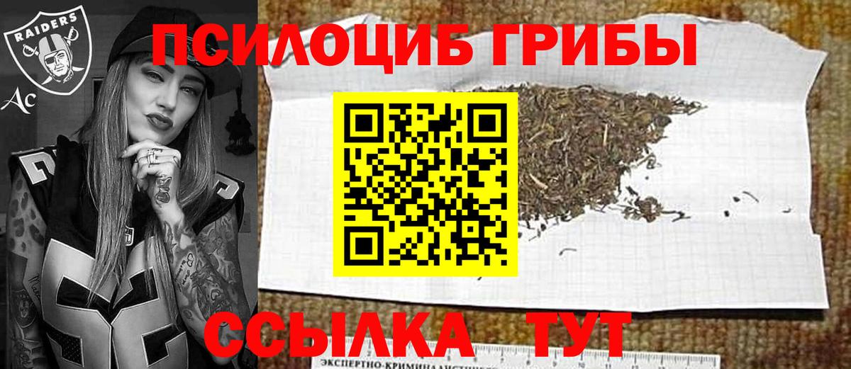 Псилоцибиновые грибы мицелий Сланцы