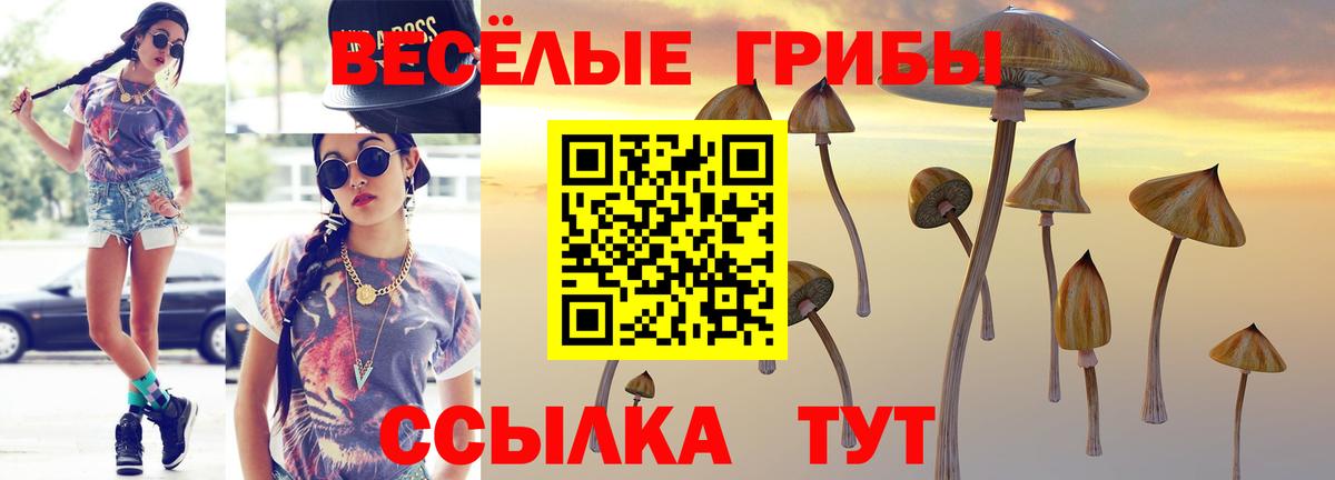 Сланцы  Псилоцибиновые грибы GOLDEN TEACHER  магазин продажи наркотиков  Псилоцибиновые грибы MAGIC MUSHROOMS  Вход с VPN 