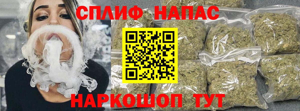 Марихуана семена Сланцы